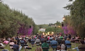 Cerca de 700 personas asistieron ...