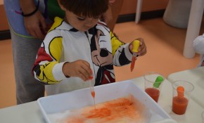 La biodiversidad del Parque Natural de ...