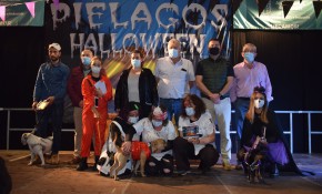 Nala, Codi y Jeddy, ganadores del I ...