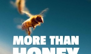 El documental “Mucho más que miel” ...
