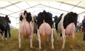 Abierto el plazo de inscripción para ...