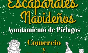 Mañana, viernes, finaliza el plazo de ...