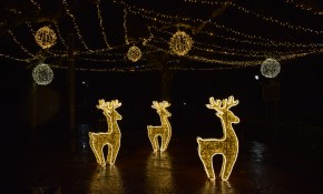 250.000 luces LED alumbran la Navidad ...