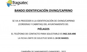 Abierto hasta el 24 de marzo el plazo ...