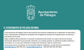 Protocolo de actuación para los ...