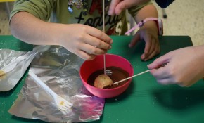 Abierta la inscripción para los ...