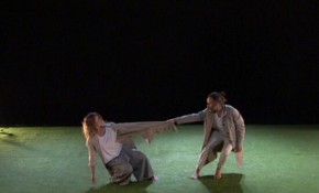 La compañía Babirusa Danza, ...