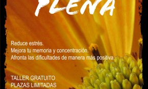 El Ayuntamiento de Piélagos ...