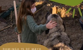 El refugio animal ‘La manada’ ...