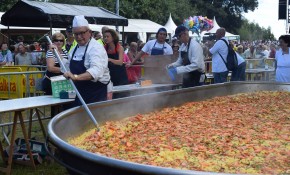 El Ayuntamiento de Piélagos ofrecerá ...