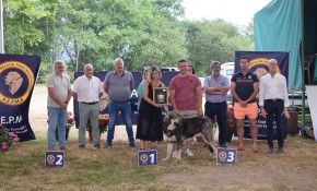 Vaquero de Filandón, vencedor del I ...