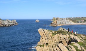 El Ayuntamiento organiza cada ...