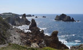 El Ayuntamiento te invita a conocer la ...