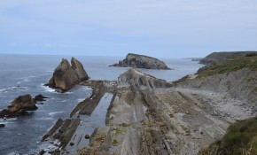 ¿Sabes qué es una plataforma de ...