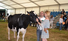 Más de un centenar de ejemplares de 26 ...