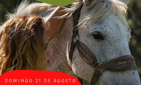 El refugio animal ‘La manada’ ...