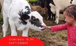 El refugio animal ‘La manada’ ...