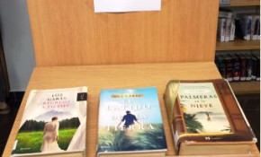 Las bibliotecas municipales de ...