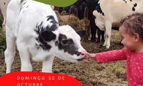 El Refugio animal ‘La manada ...