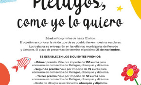 Mañana, viernes, finalizará el plazo ...