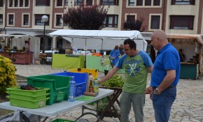 Inaugurado el I mercado ecológico y ...