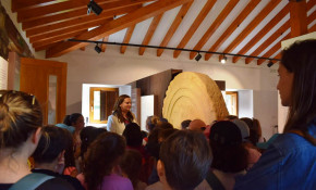 El Ayuntamiento pone en marcha las ...