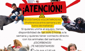 El Refugio animal ‘La manada ...