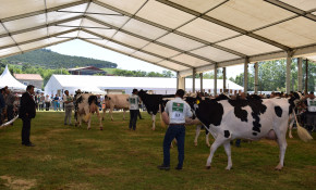 Abierto hasta el 12 de junio el plazo ...