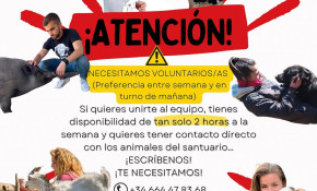 El Refugio animal ‘La manada ...