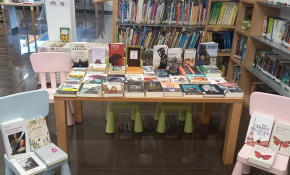 La Biblioteca municipal de Renedo ...