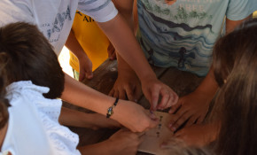 Abierto, hasta el 18 de julio, un plazo ...