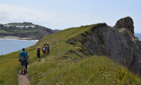 El Ayuntamiento pone en marcha este ...