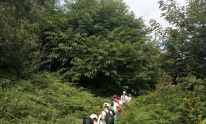 Una treintena de jóvenes vive la ...