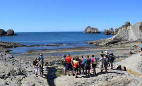 El Ayuntamiento de Piélagos organiza ...