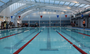 El Ayuntamiento  recuerda a los ...