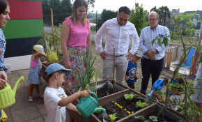 245 niños disfrutan de un verano ...