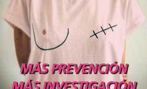 El Ayuntamiento de Piélagos, en ...