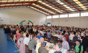 Piélagos celebrará mañana, sábado, ...