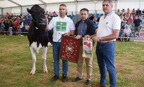 Piélagos abre hasta el 29 de noviembre ...