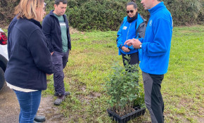 Voluntarios de la empresa Bureau ...