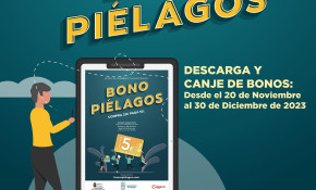 Este sábado finaliza el plazo para ...