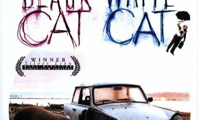 La  película “Gato negro, gato ...