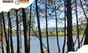 Los pinares de Liencres, sede este ...