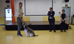 Cabárceno y Ayuntamiento de Piélagos ...