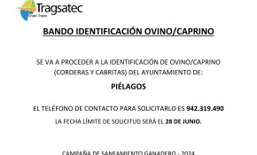 Abierto hasta el 28 de junio el plazo ...