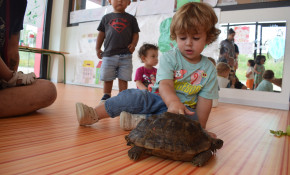 ‘Niki’ y ‘Uga’ visitan ...