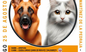 El Ayuntamiento de Piélagos celebrará ...