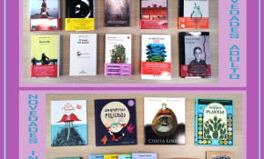 Novelas y ensayos para el público ...