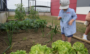 El Ayuntamiento de Piélagos abrirá, ...