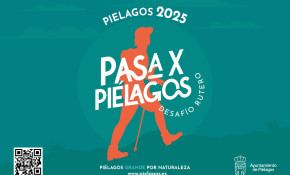 El Ayuntamiento comienza a repartir en ...